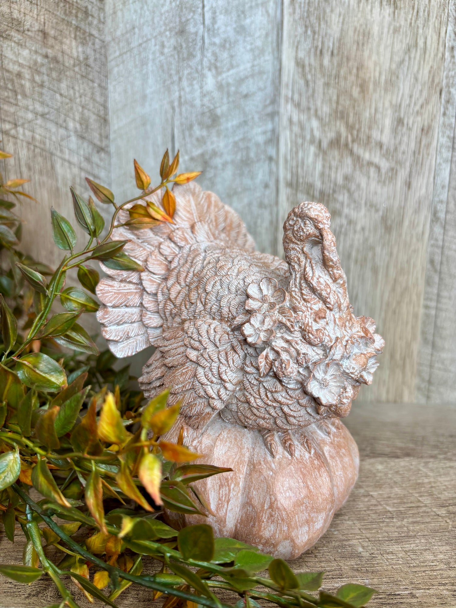 New Arrivals and Our Favs!