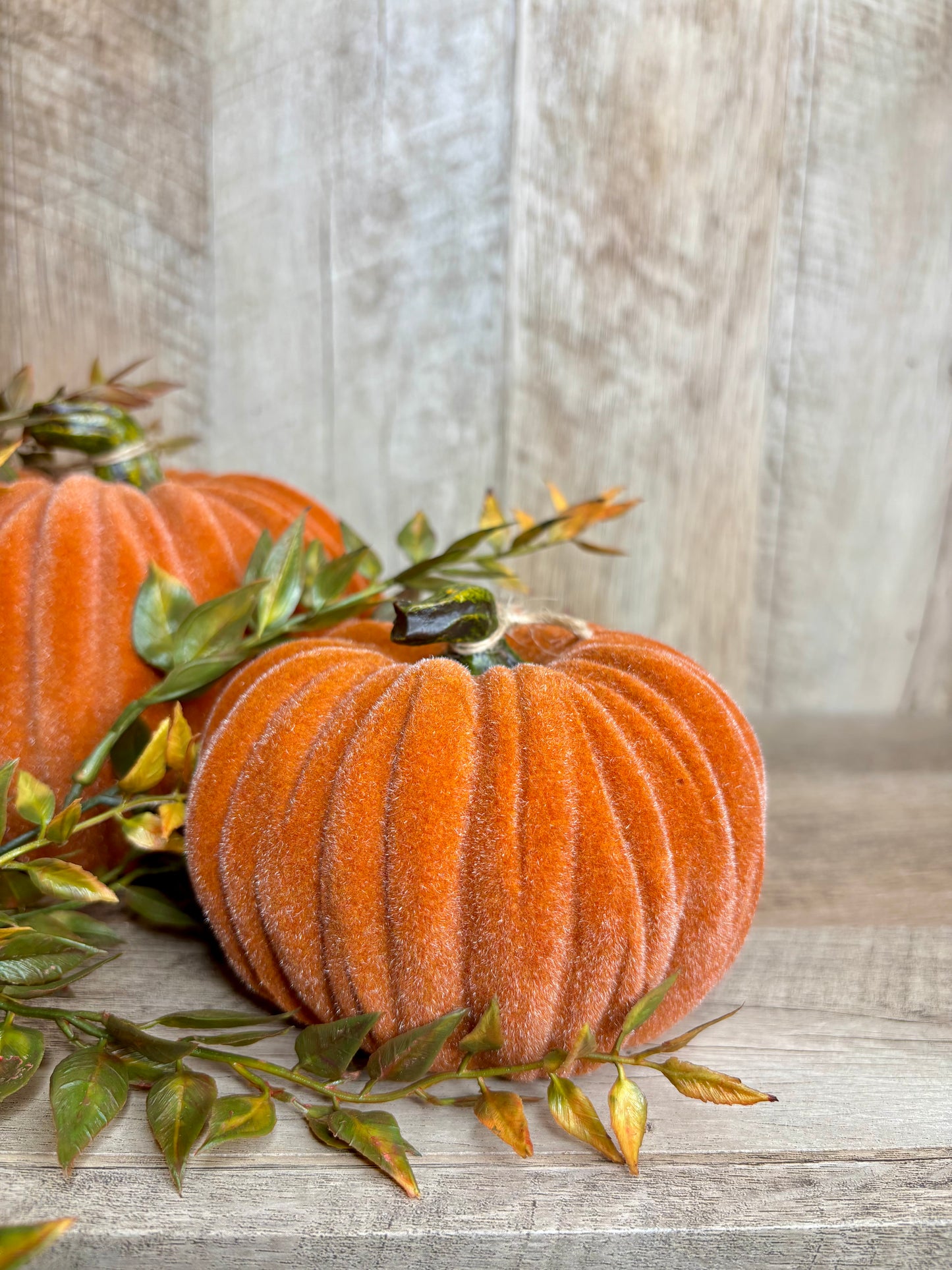 4.5"W VELVET PUMPKINS