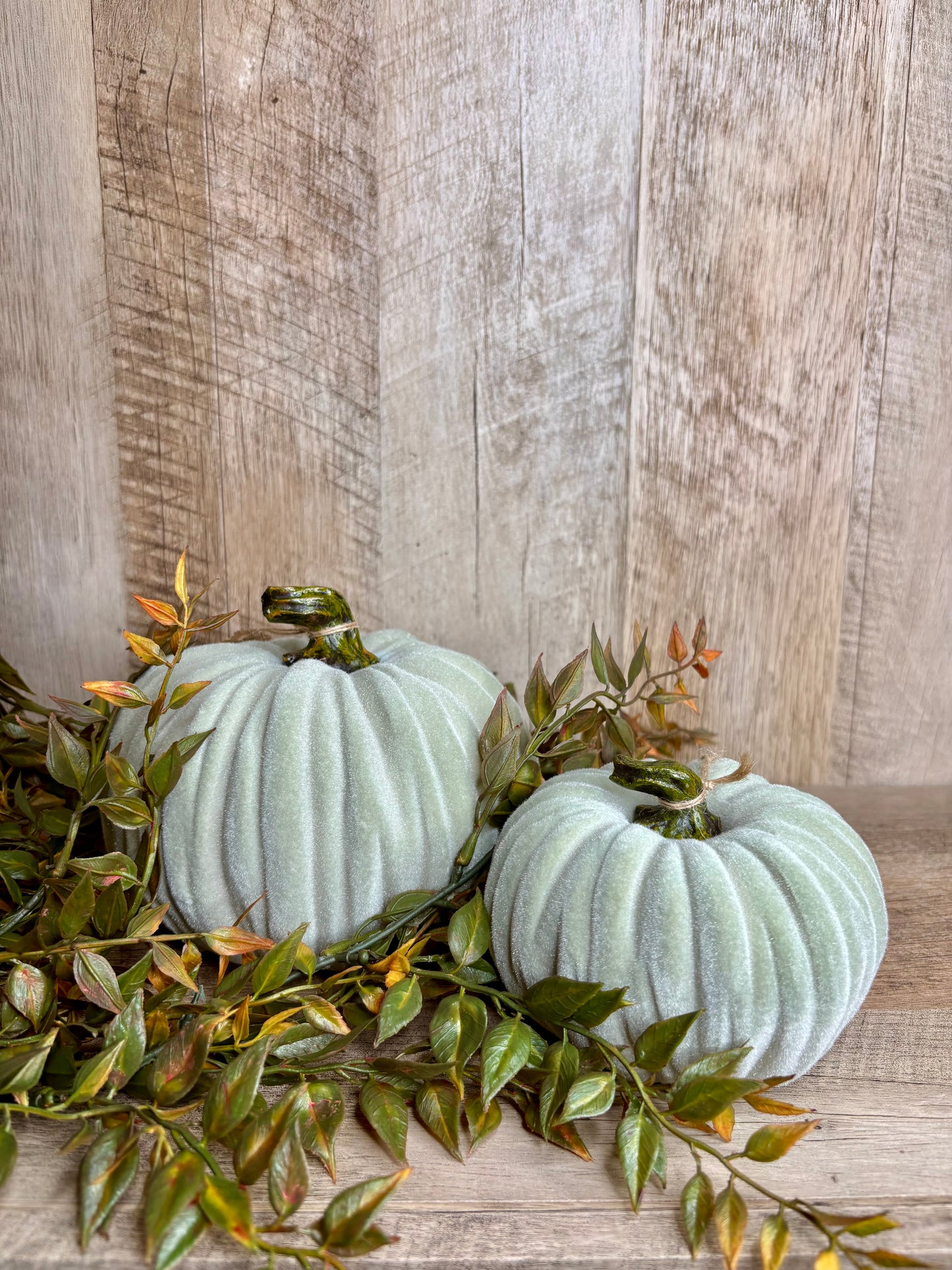 4.5"W VELVET PUMPKINS