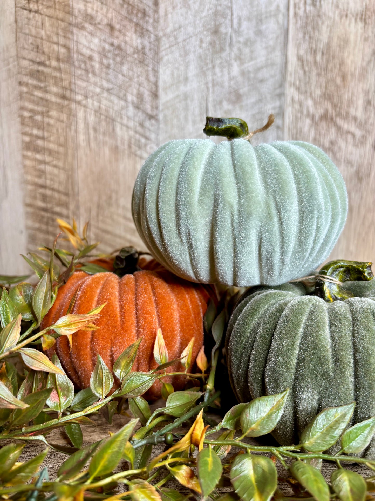 4.5"W VELVET PUMPKINS