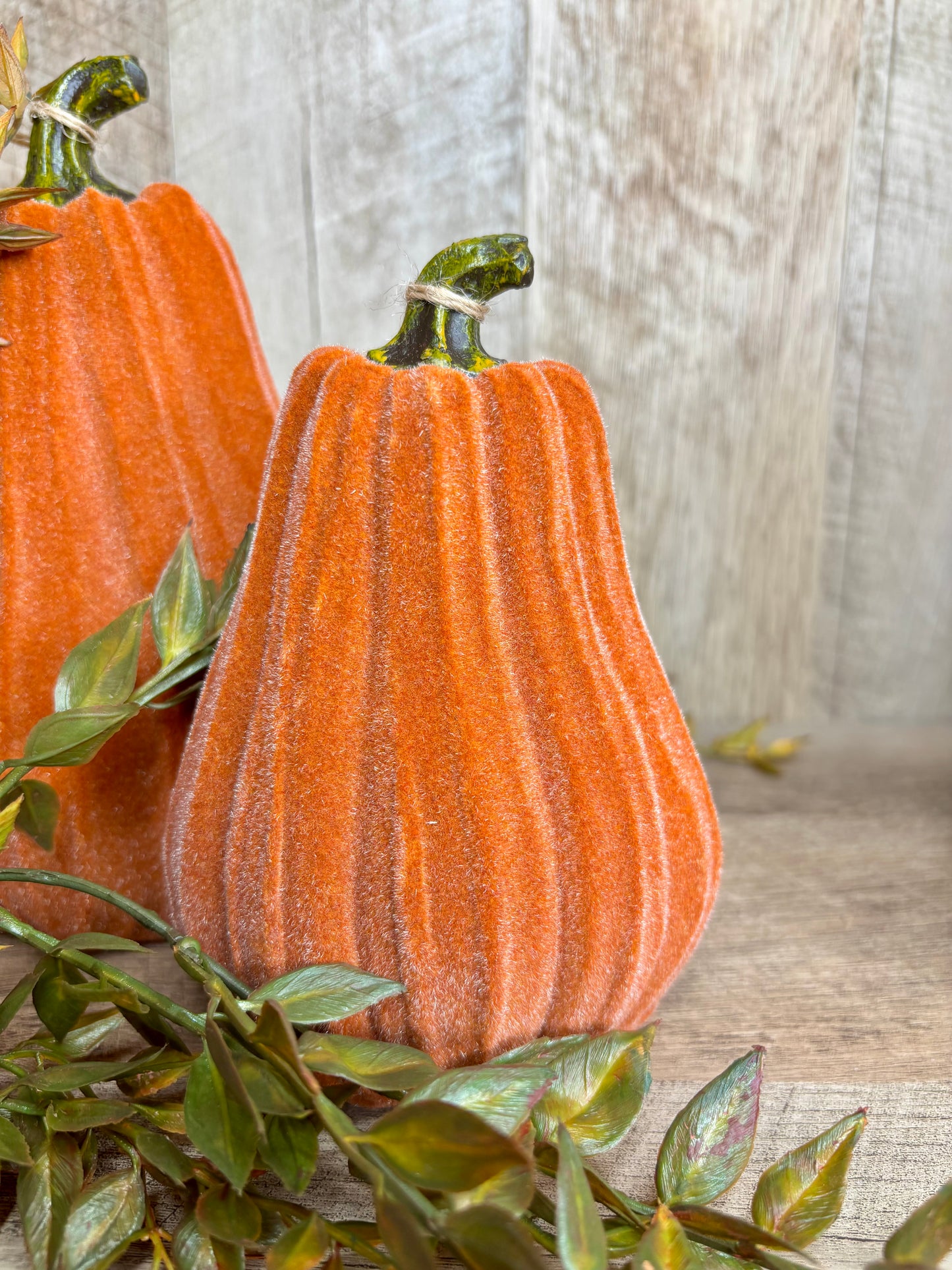 6"H VELVET GOURDS