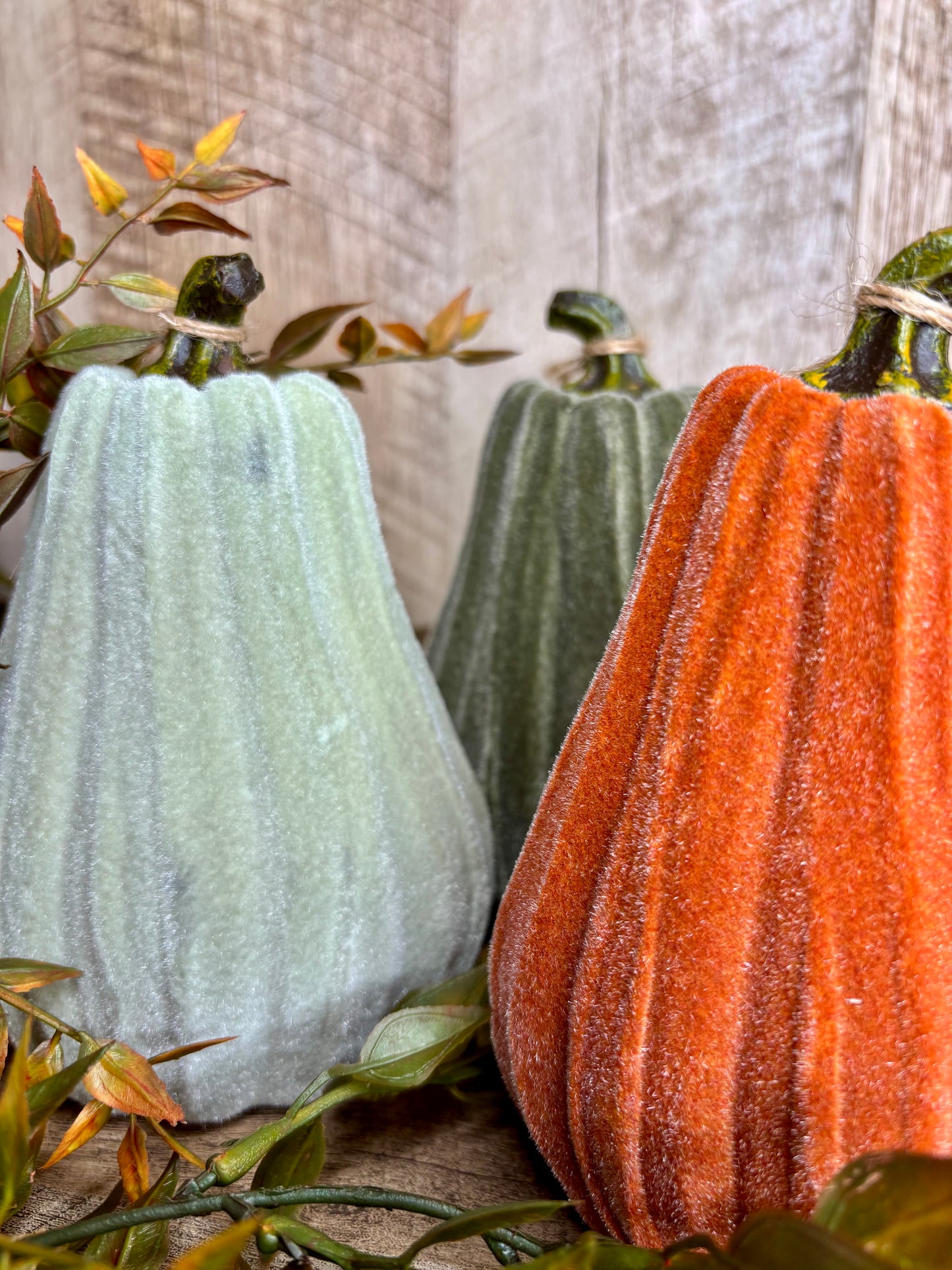 6"H VELVET GOURDS
