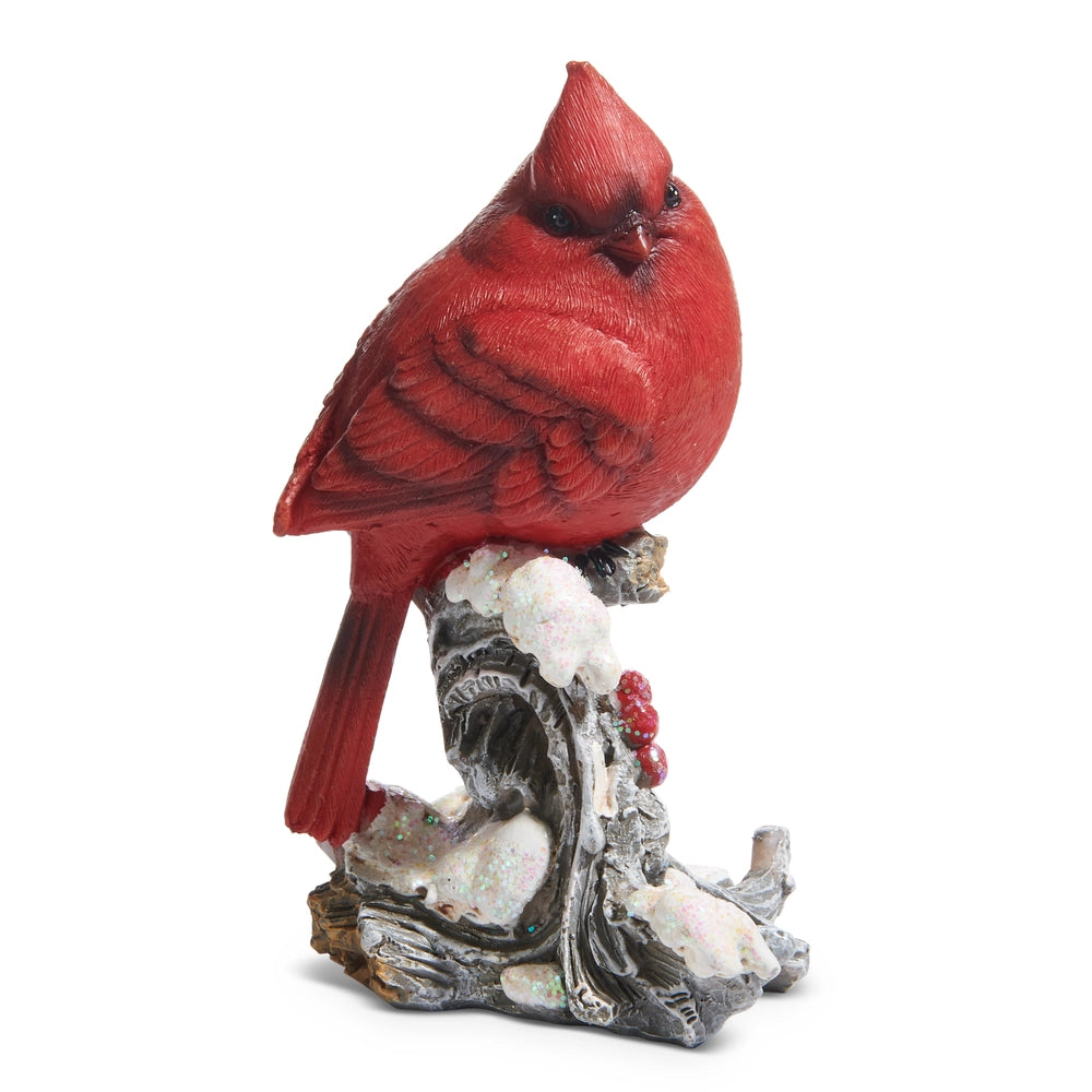 Snowy Cardinal