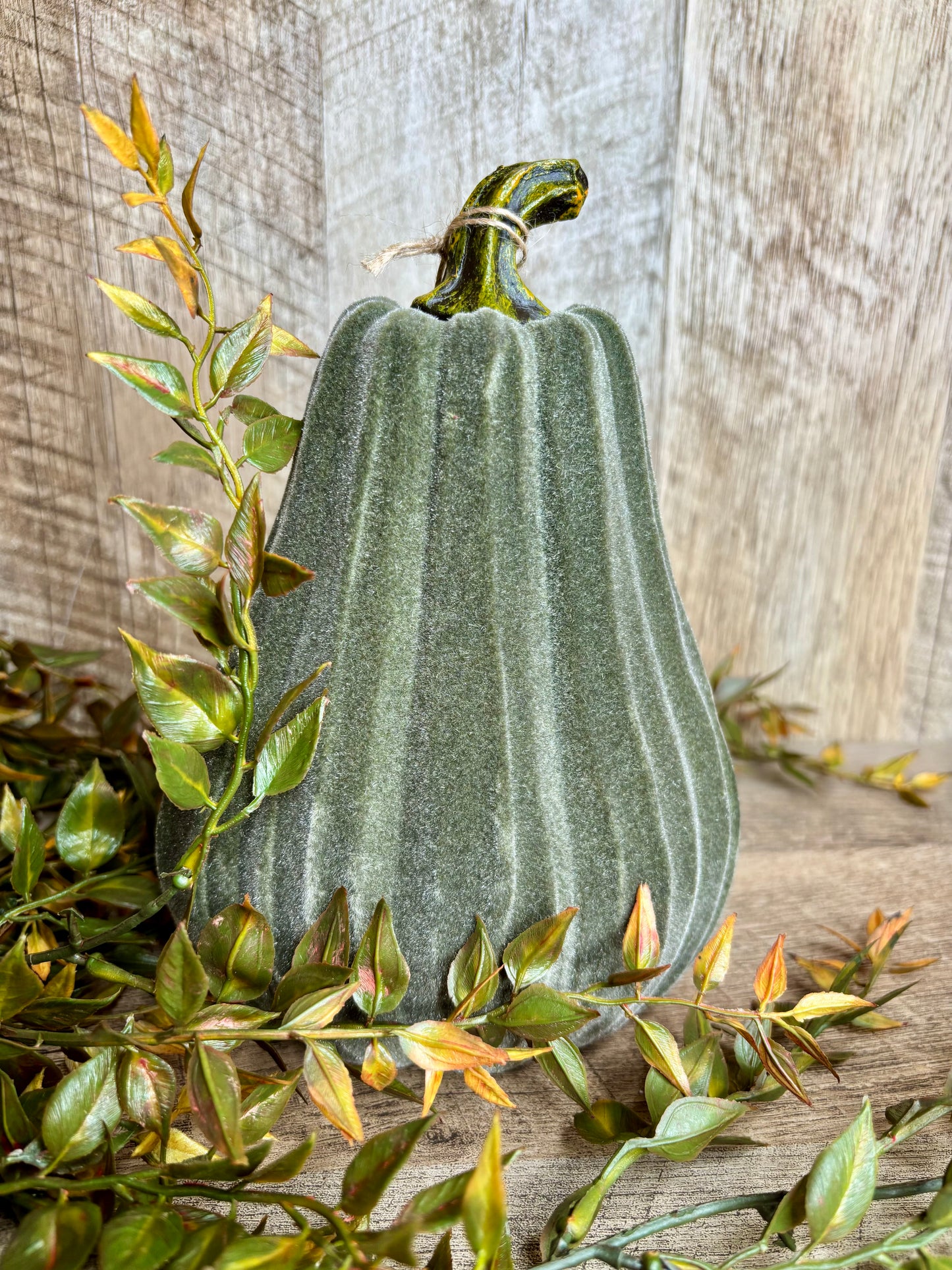 8"H VELVET GOURDS
