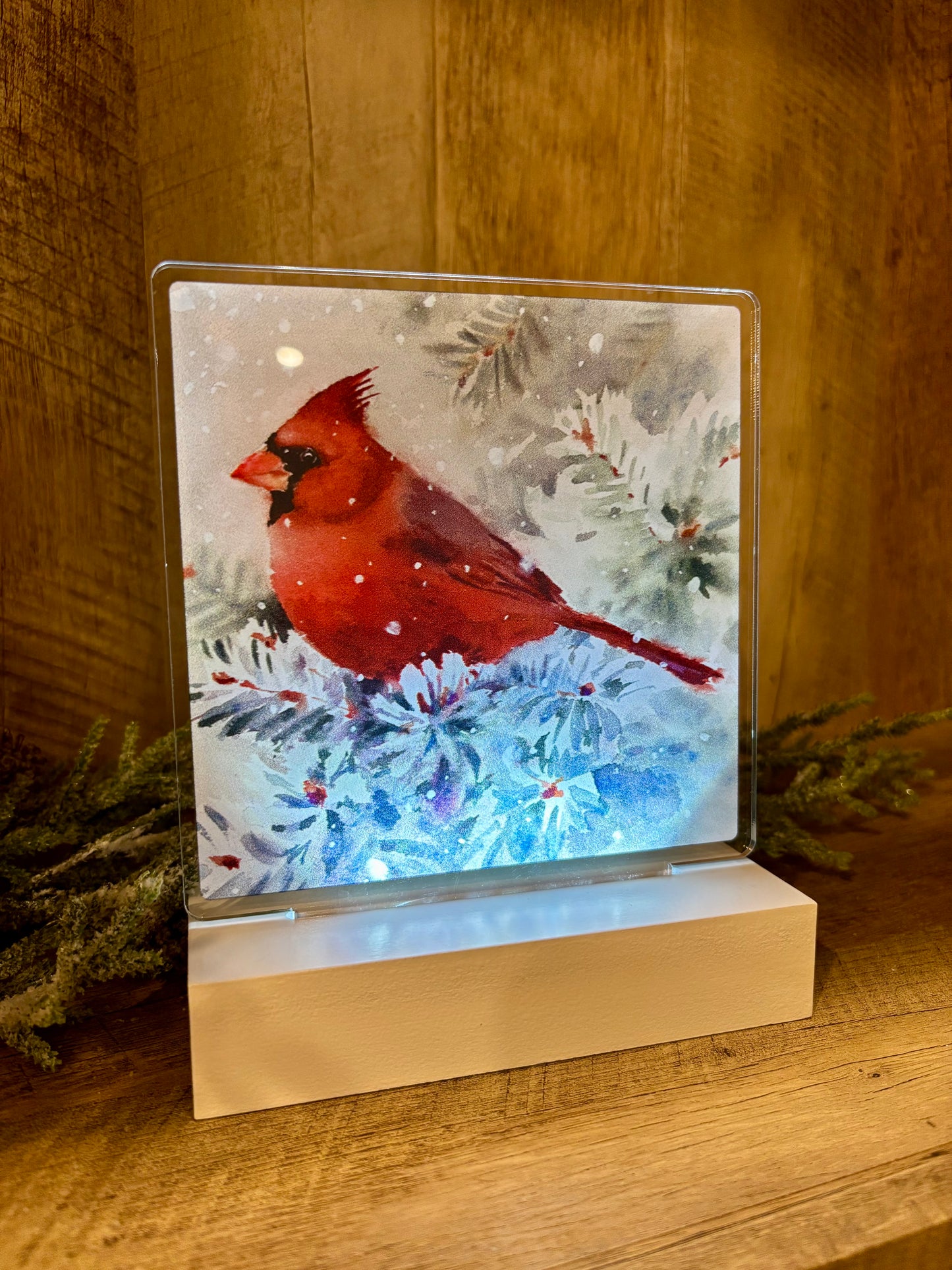 LIGHT UP CARDINAL