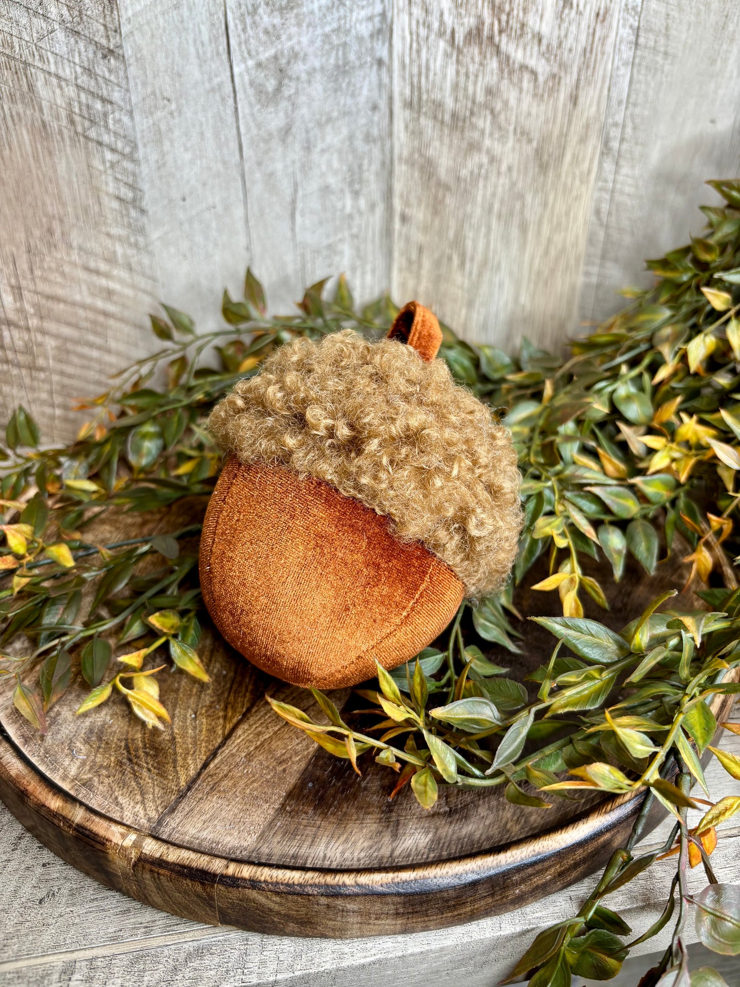 Velvet Acorn