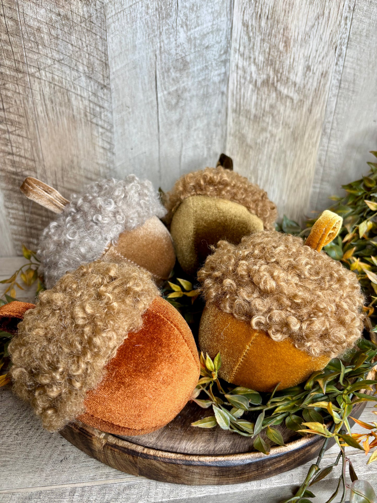 Velvet Acorn