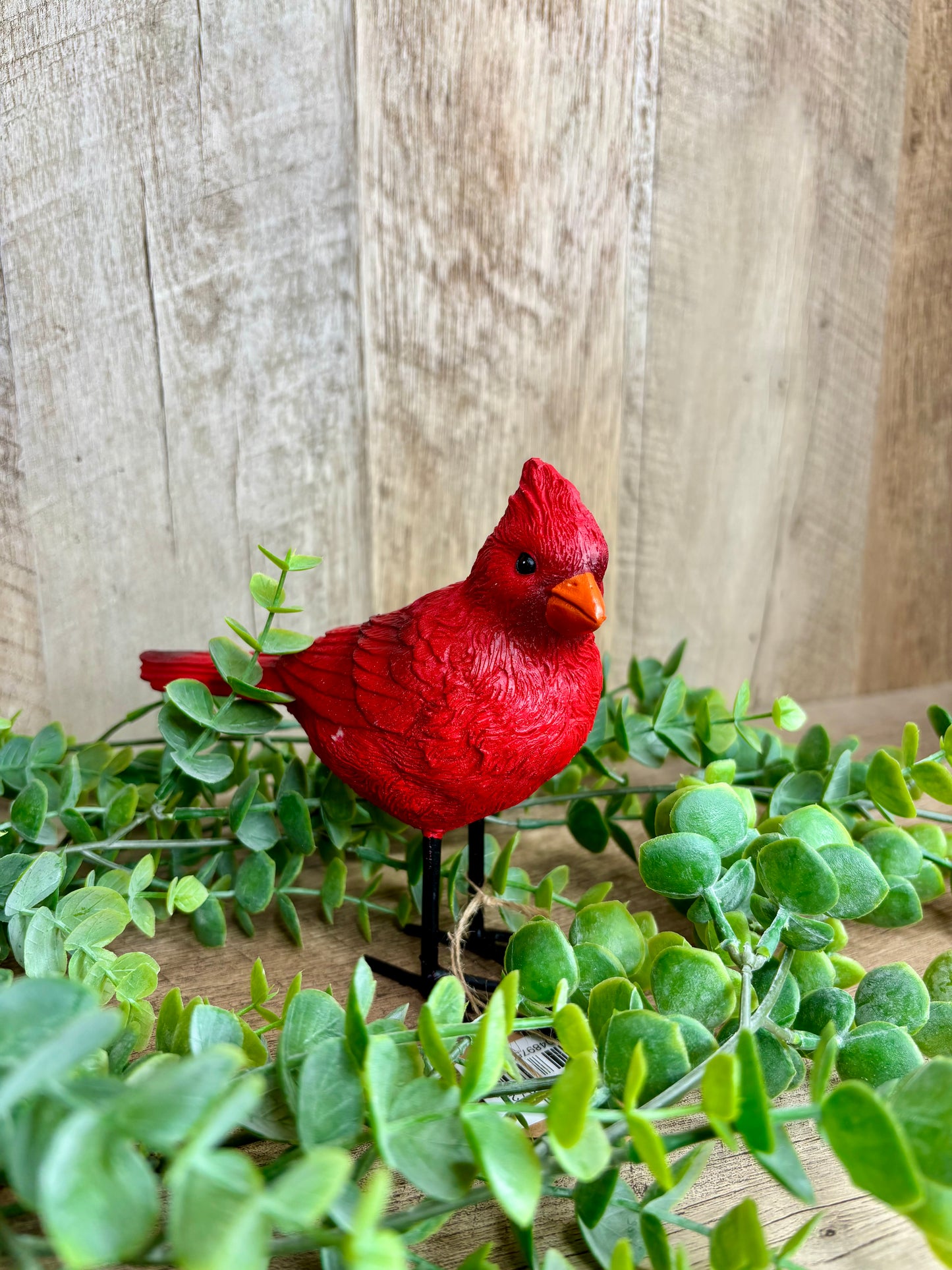 Cardinal