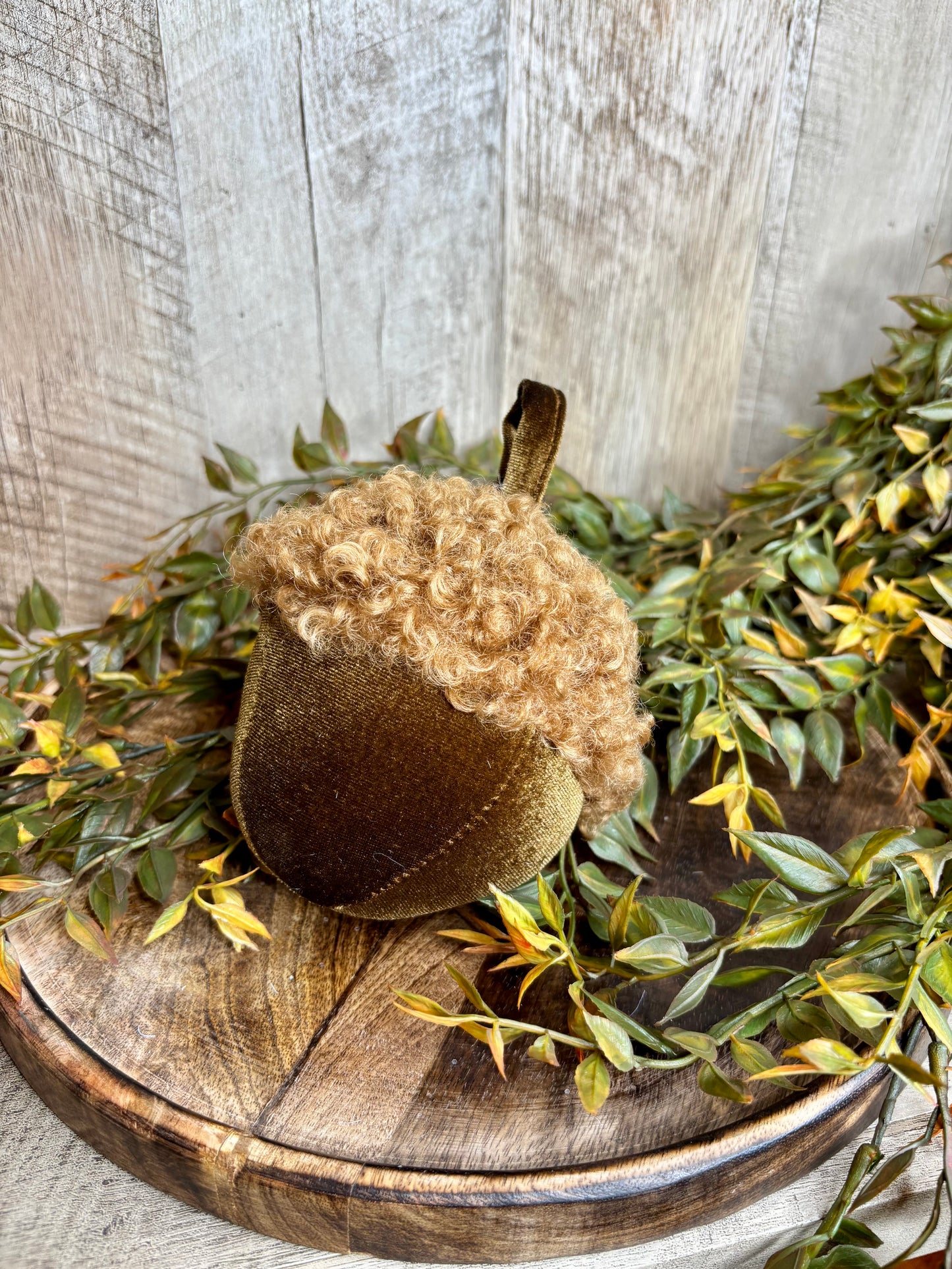 Velvet Acorn