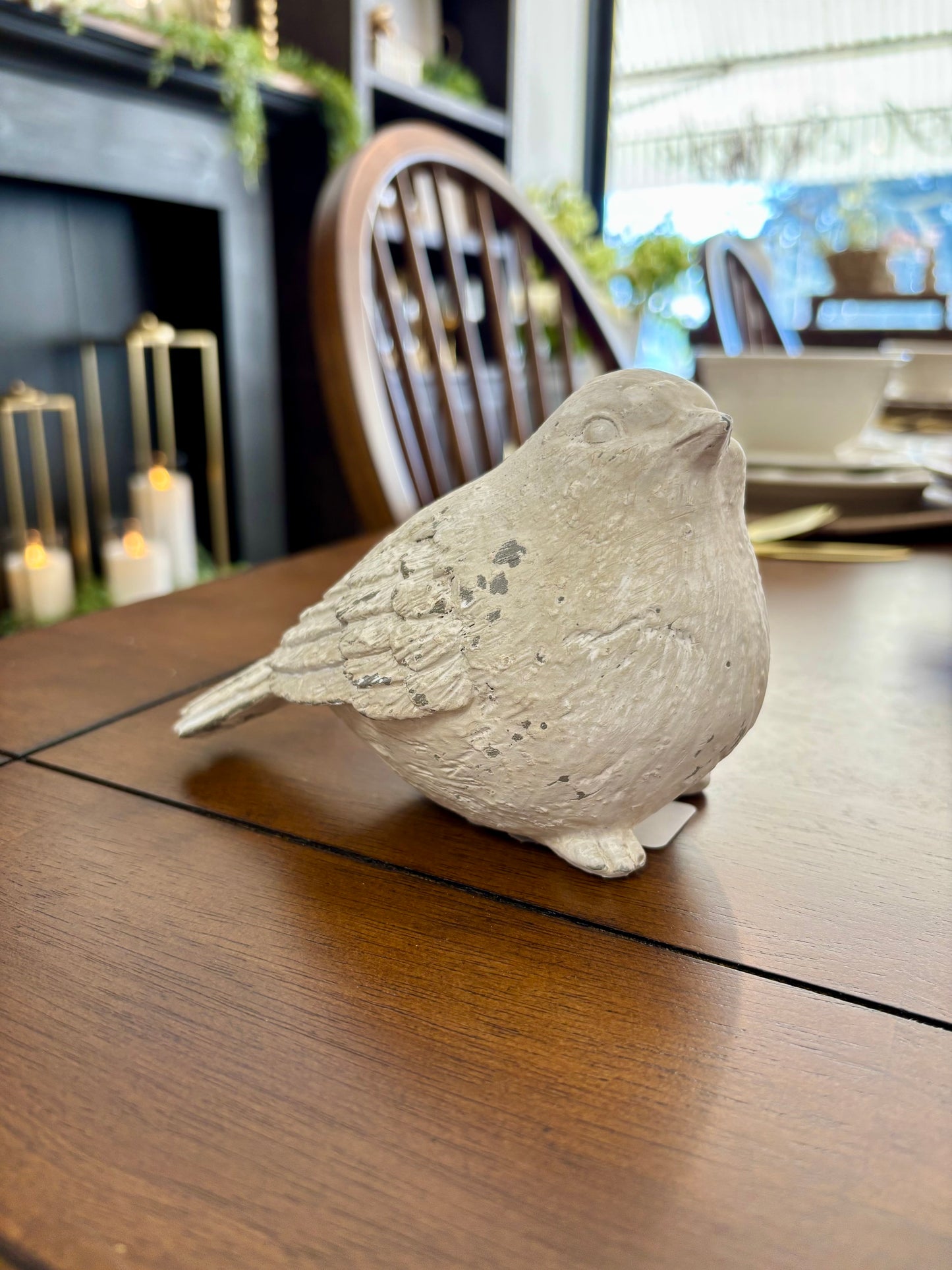 Birds