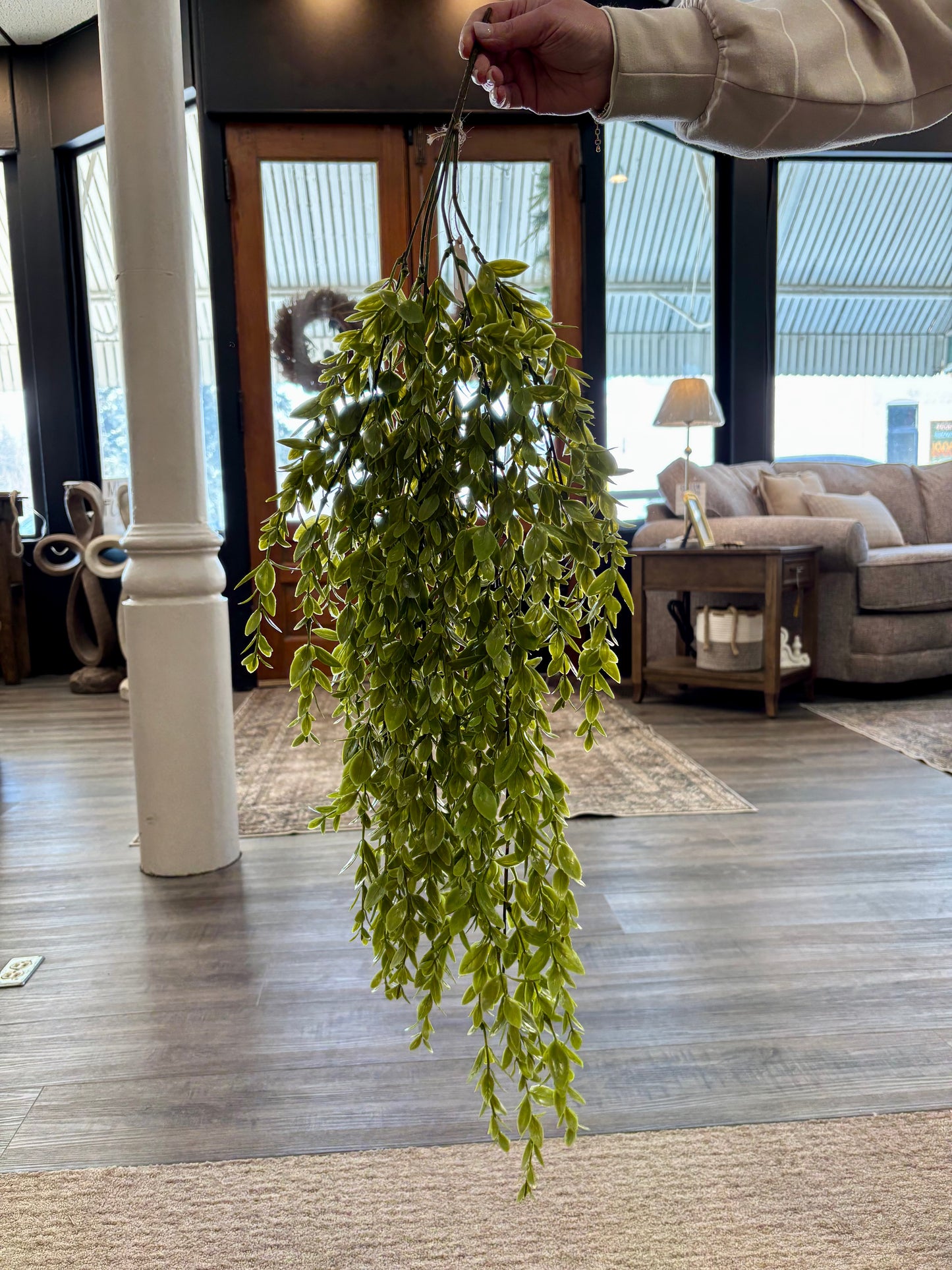 Ruscus Leaf Hanging Bush
