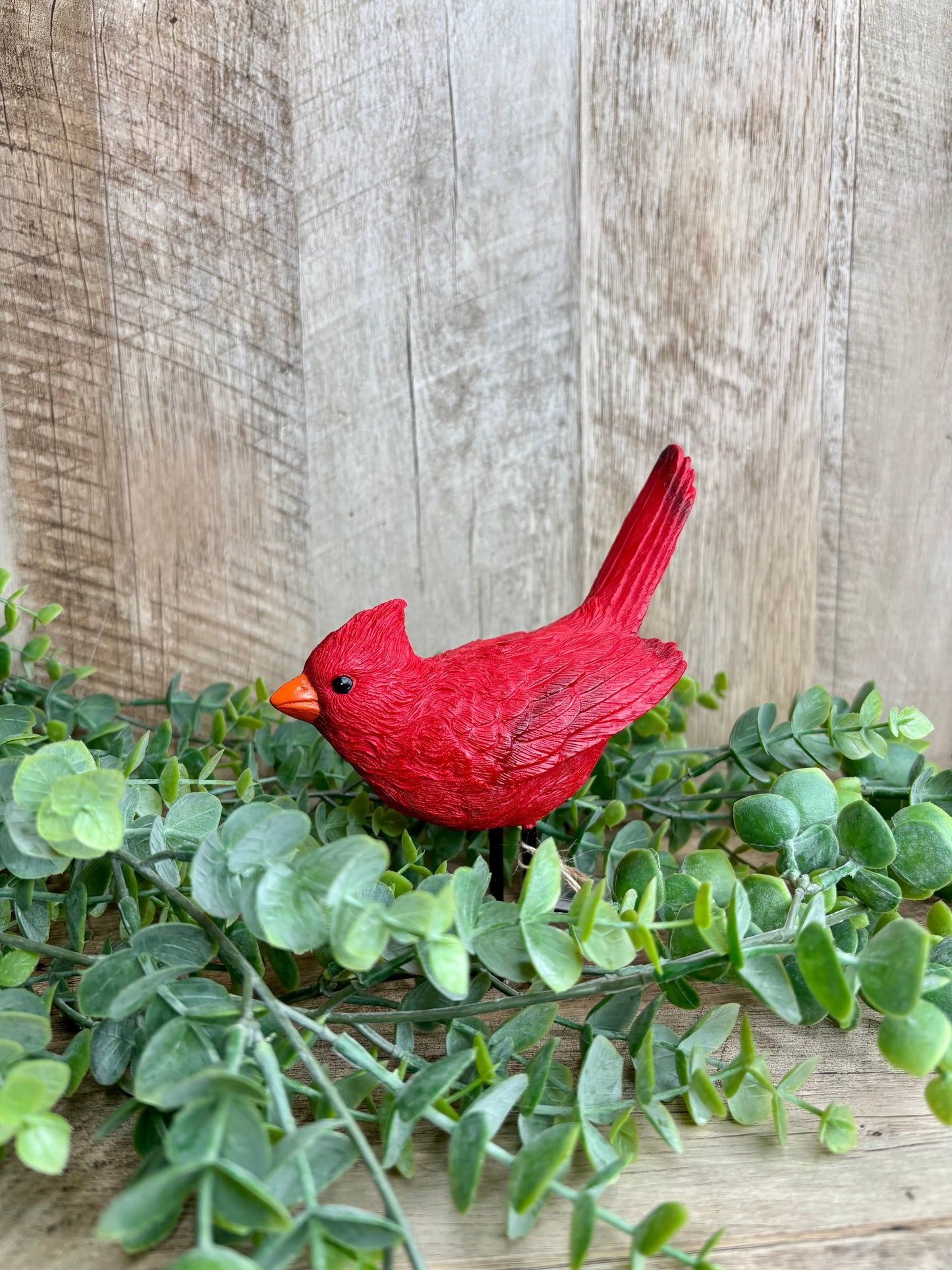 Cardinal