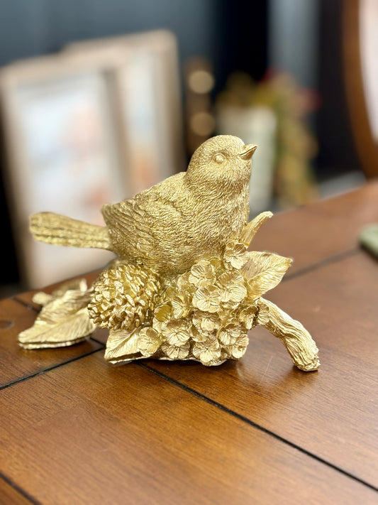 Bird on Pincone