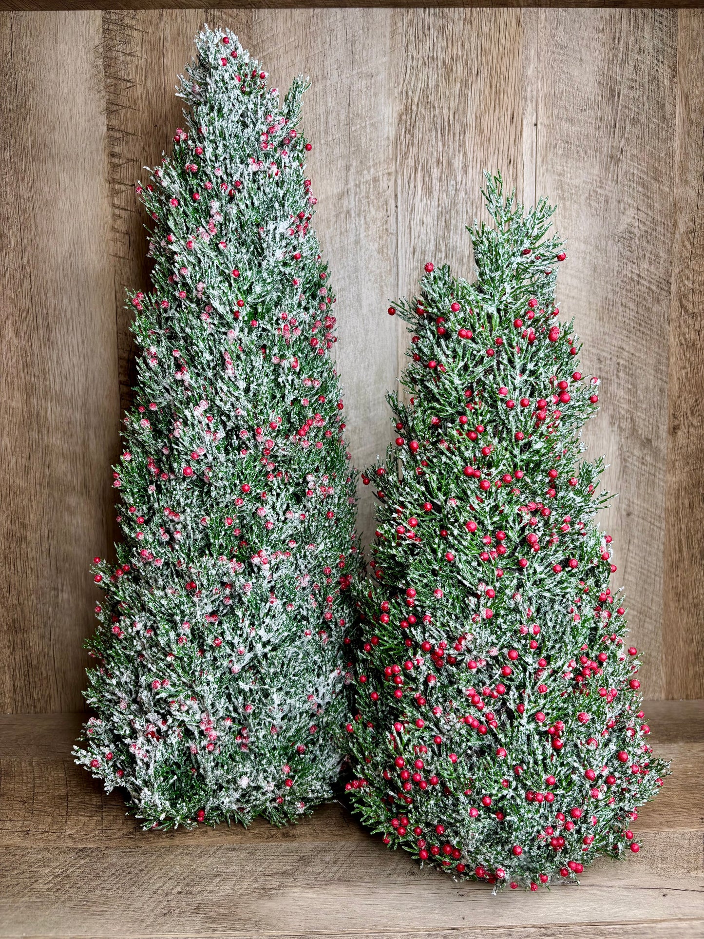 Frosted Berry Tree S/2