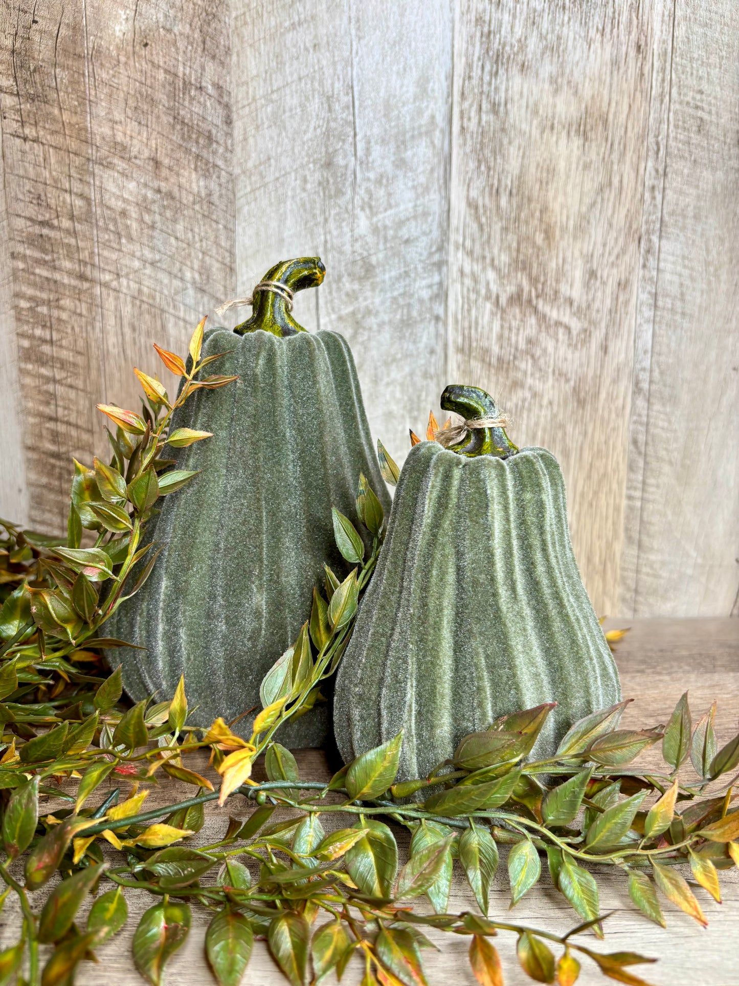 6"H VELVET GOURDS