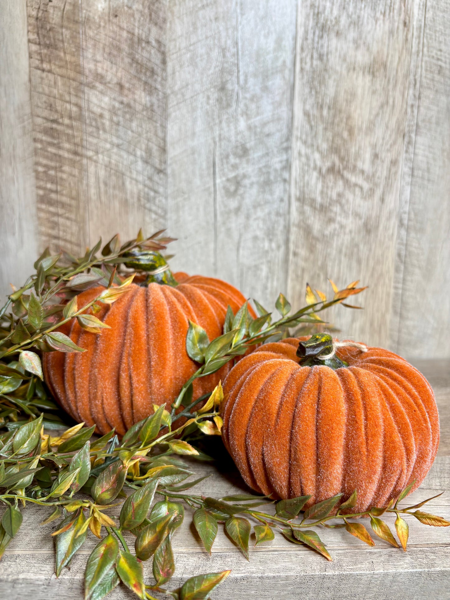 4.5"W VELVET PUMPKINS