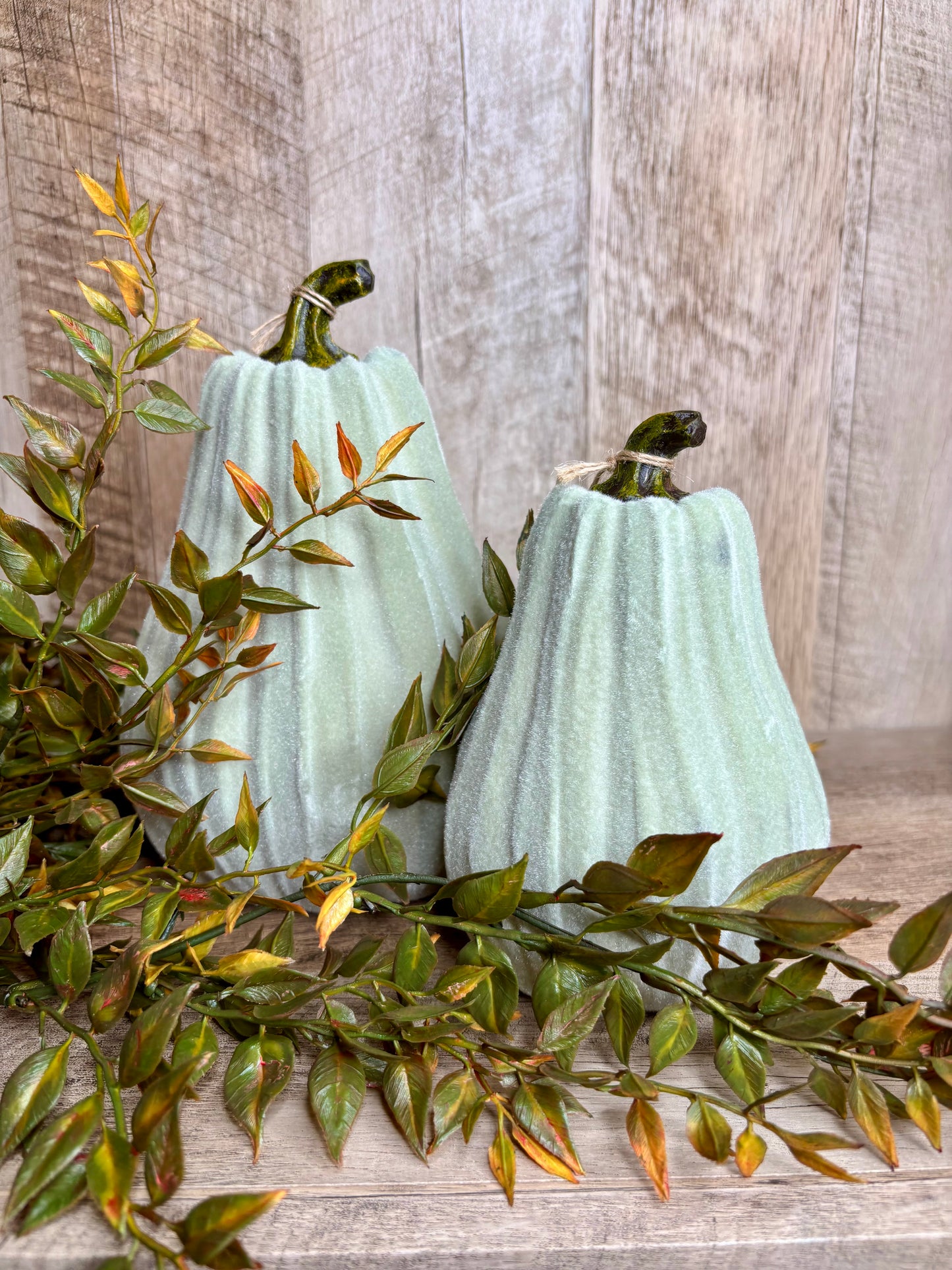 6"H VELVET GOURDS