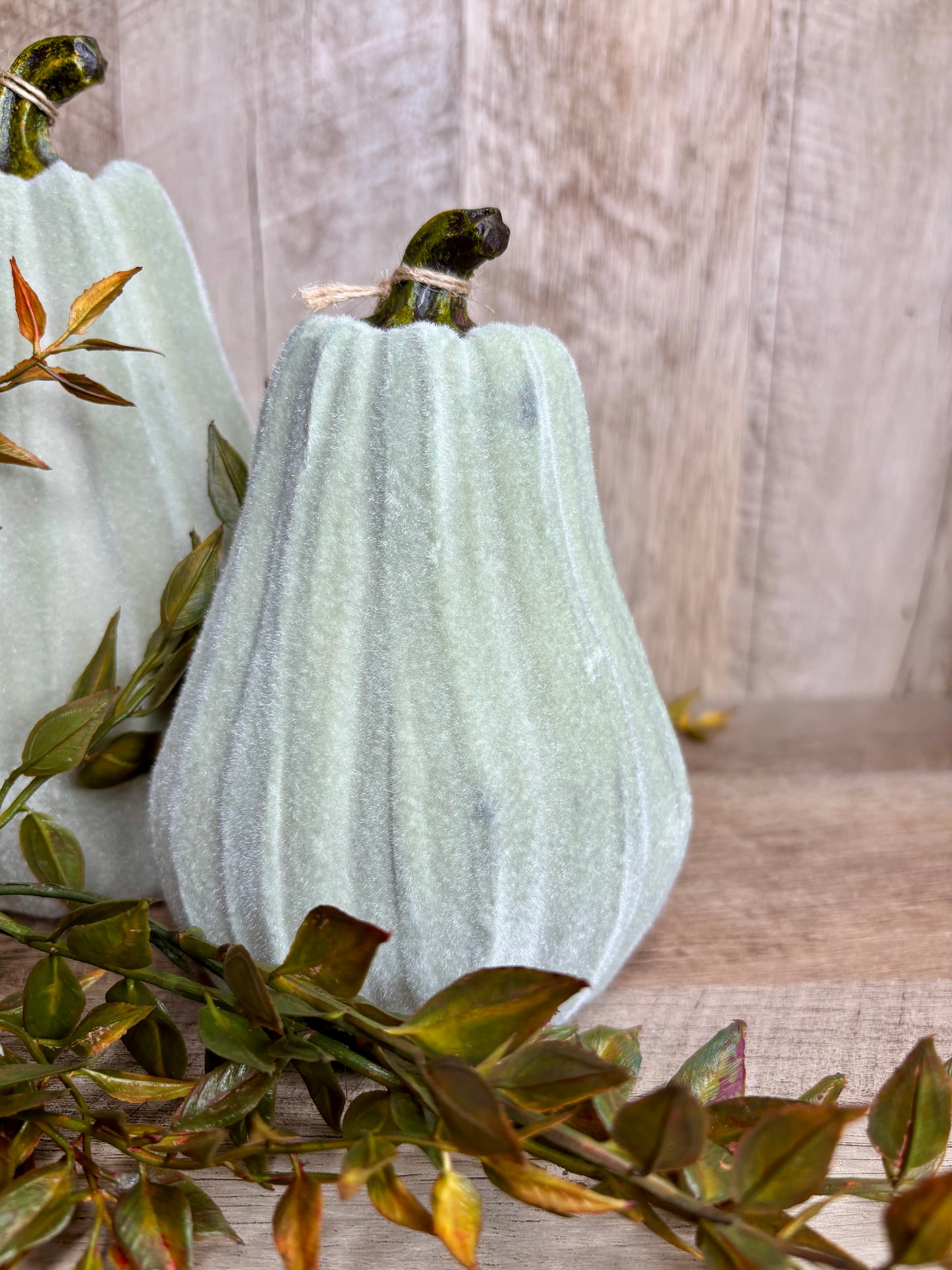 6"H VELVET GOURDS