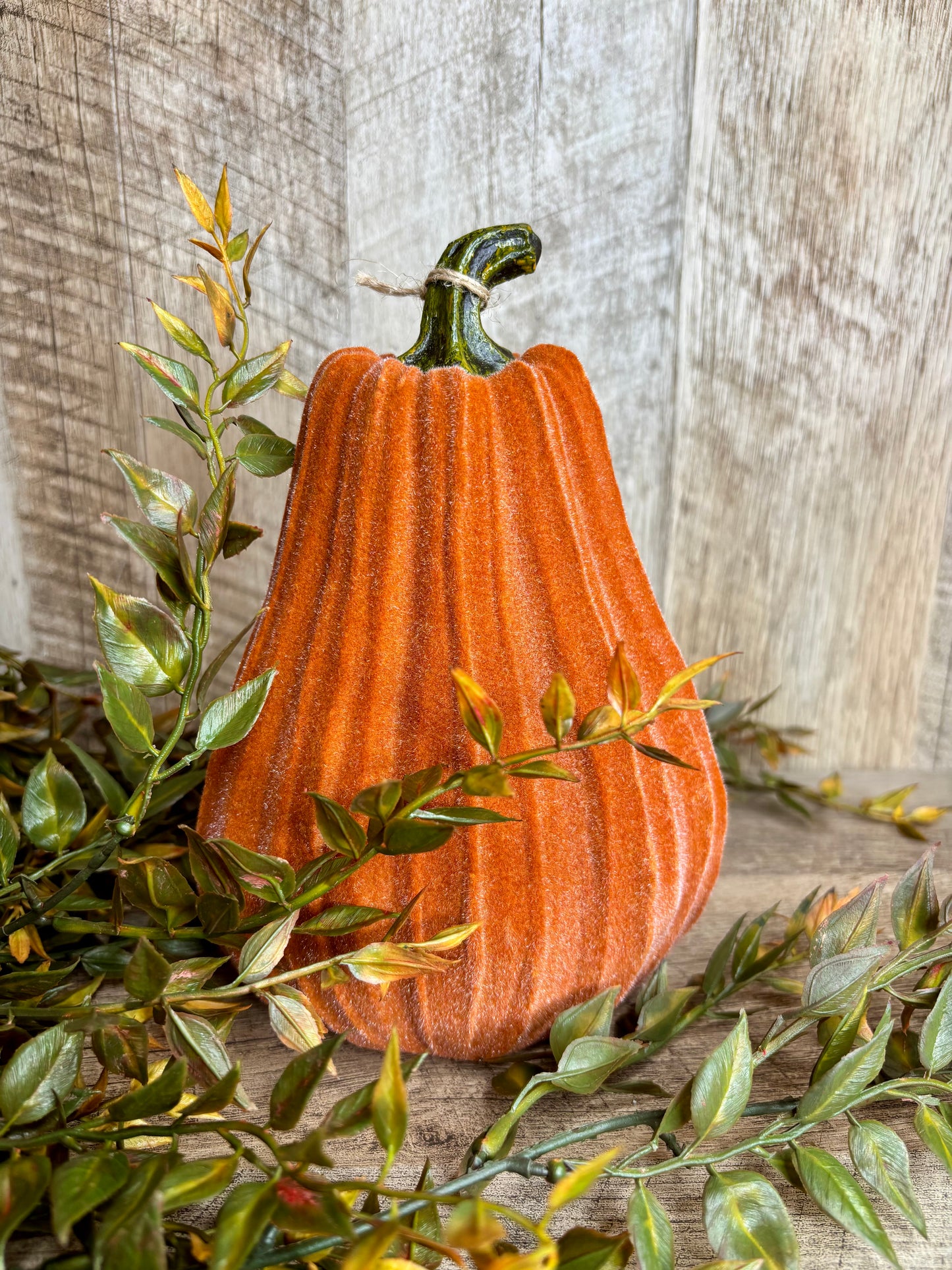 8"H VELVET GOURDS