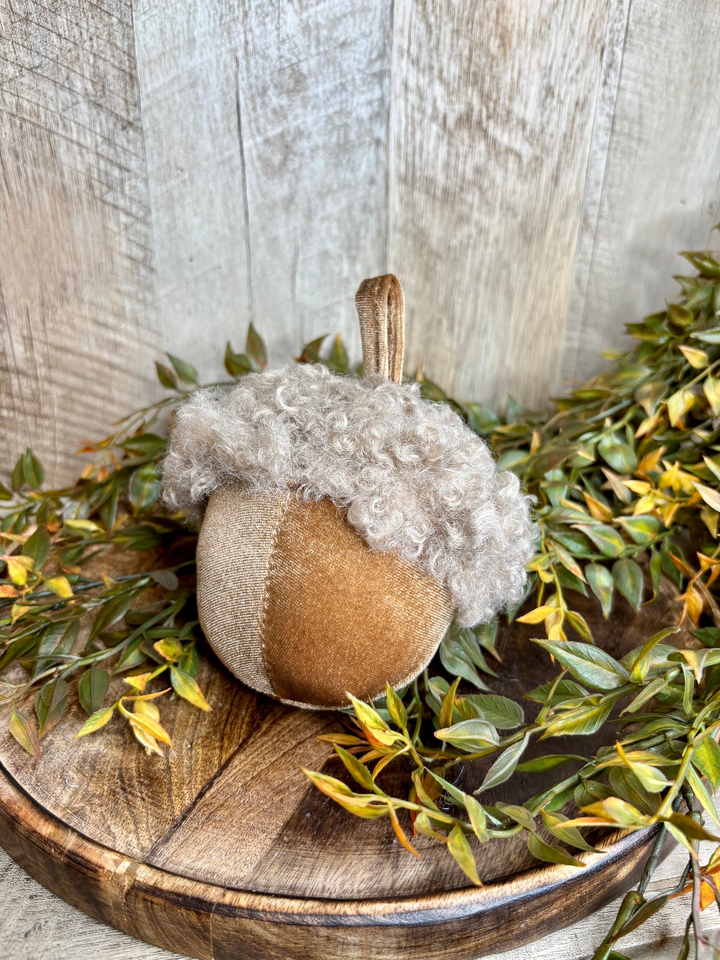Velvet Acorn