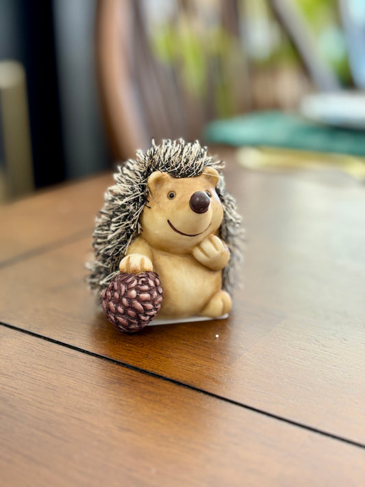 Hedgehog w/ Pinecone