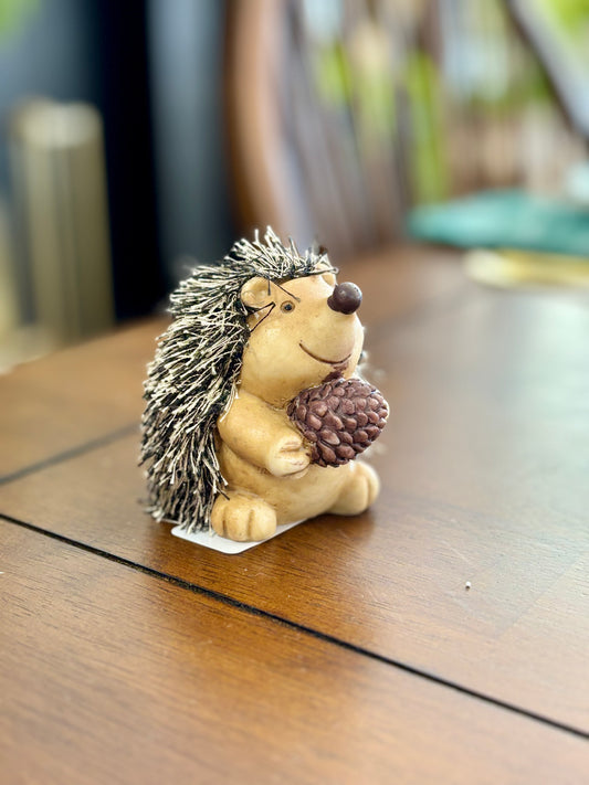 Hedgehog w/ Pinecone