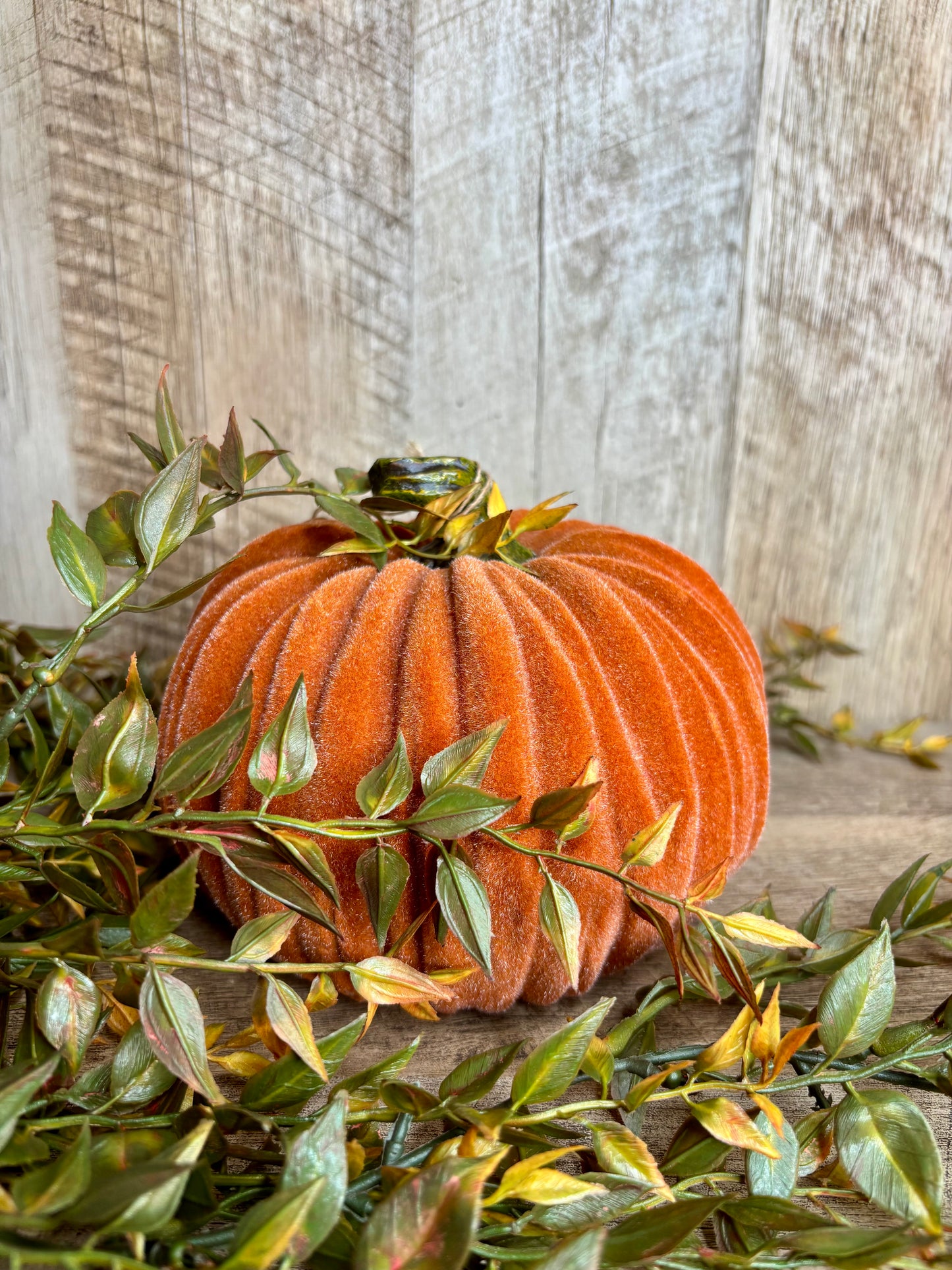 6"W VELVET PUMPKINS