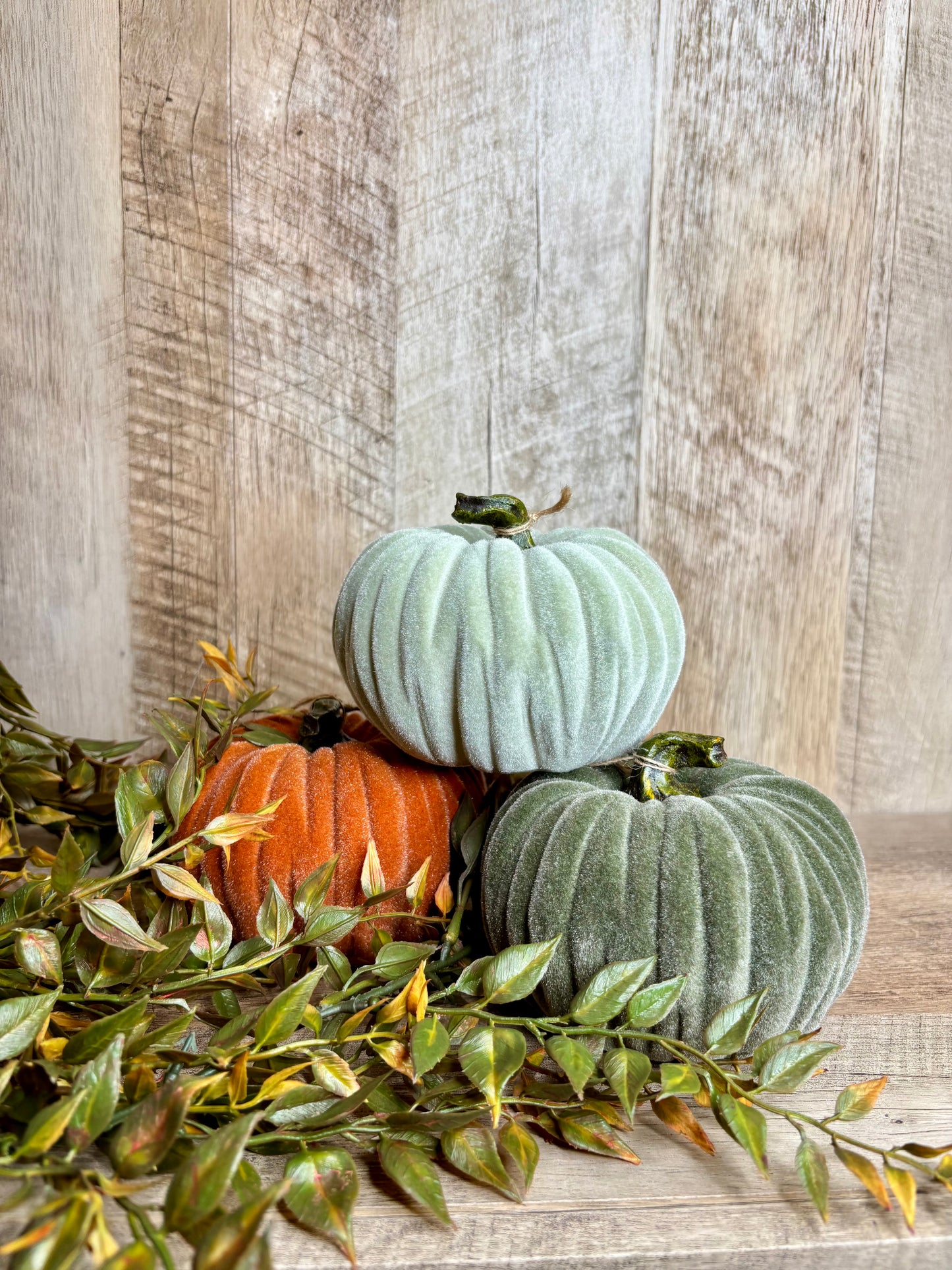 4.5"W VELVET PUMPKINS