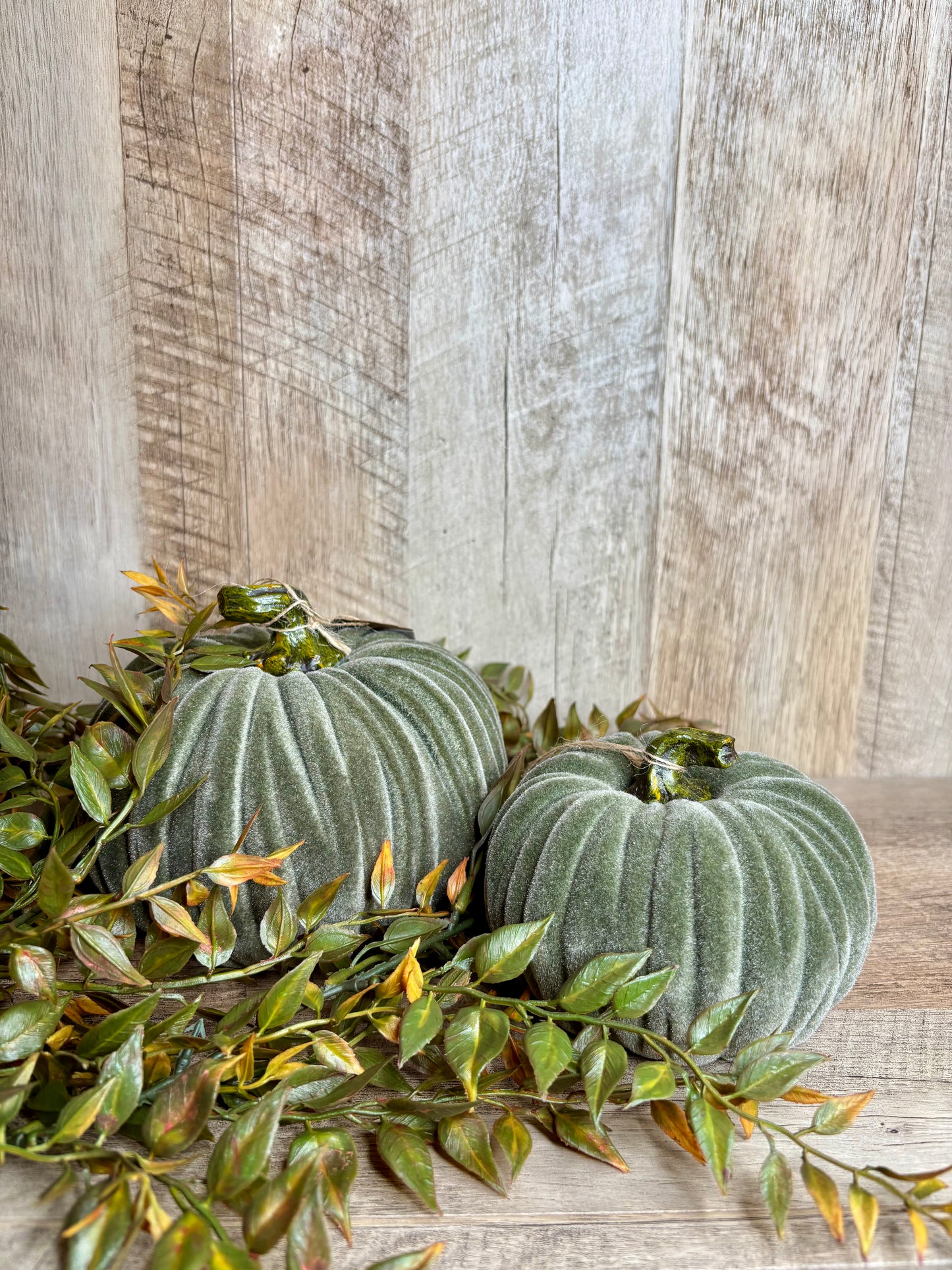 4.5"W VELVET PUMPKINS