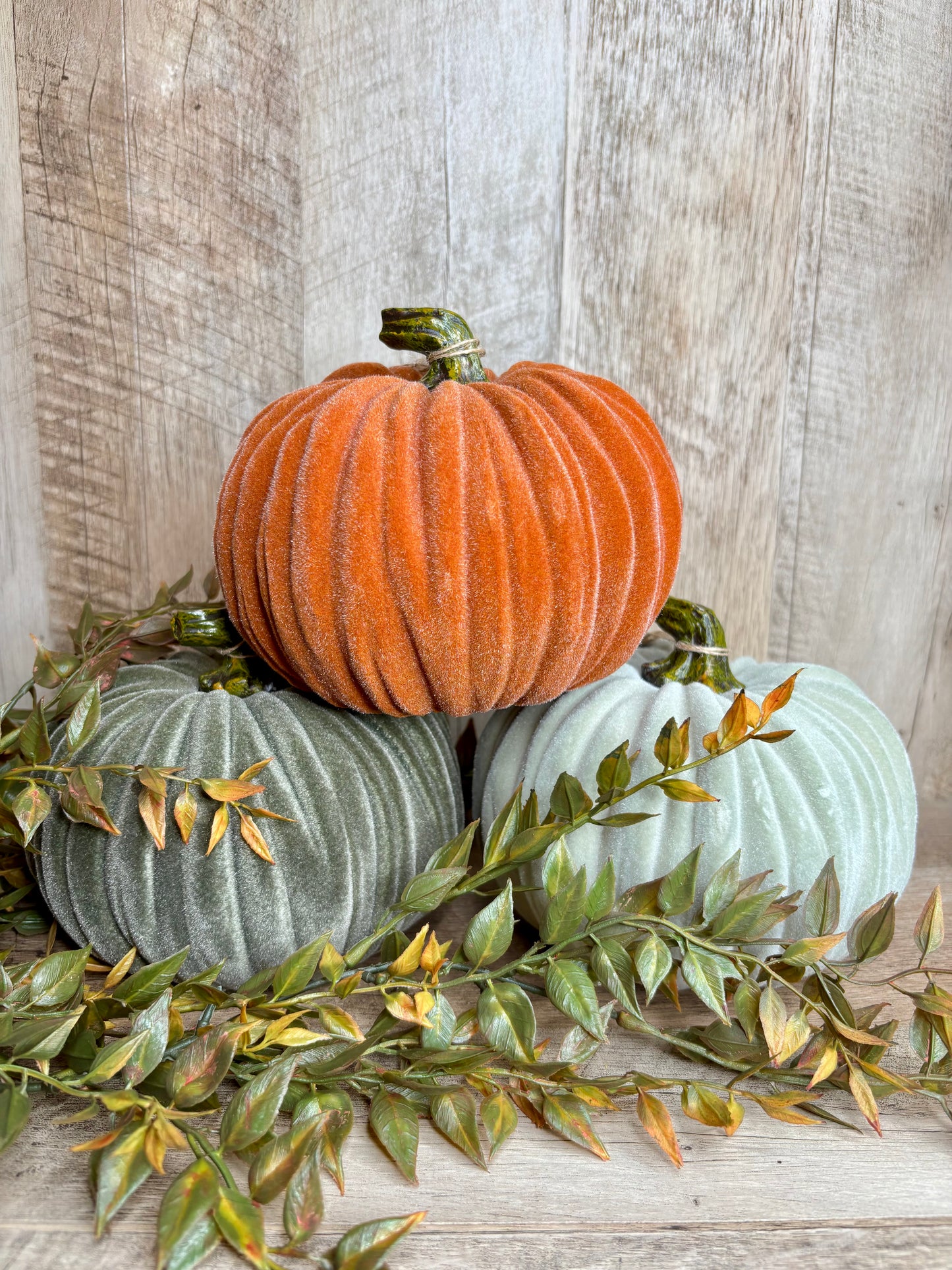 6"W VELVET PUMPKINS