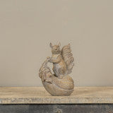 Squirrel on Gourd