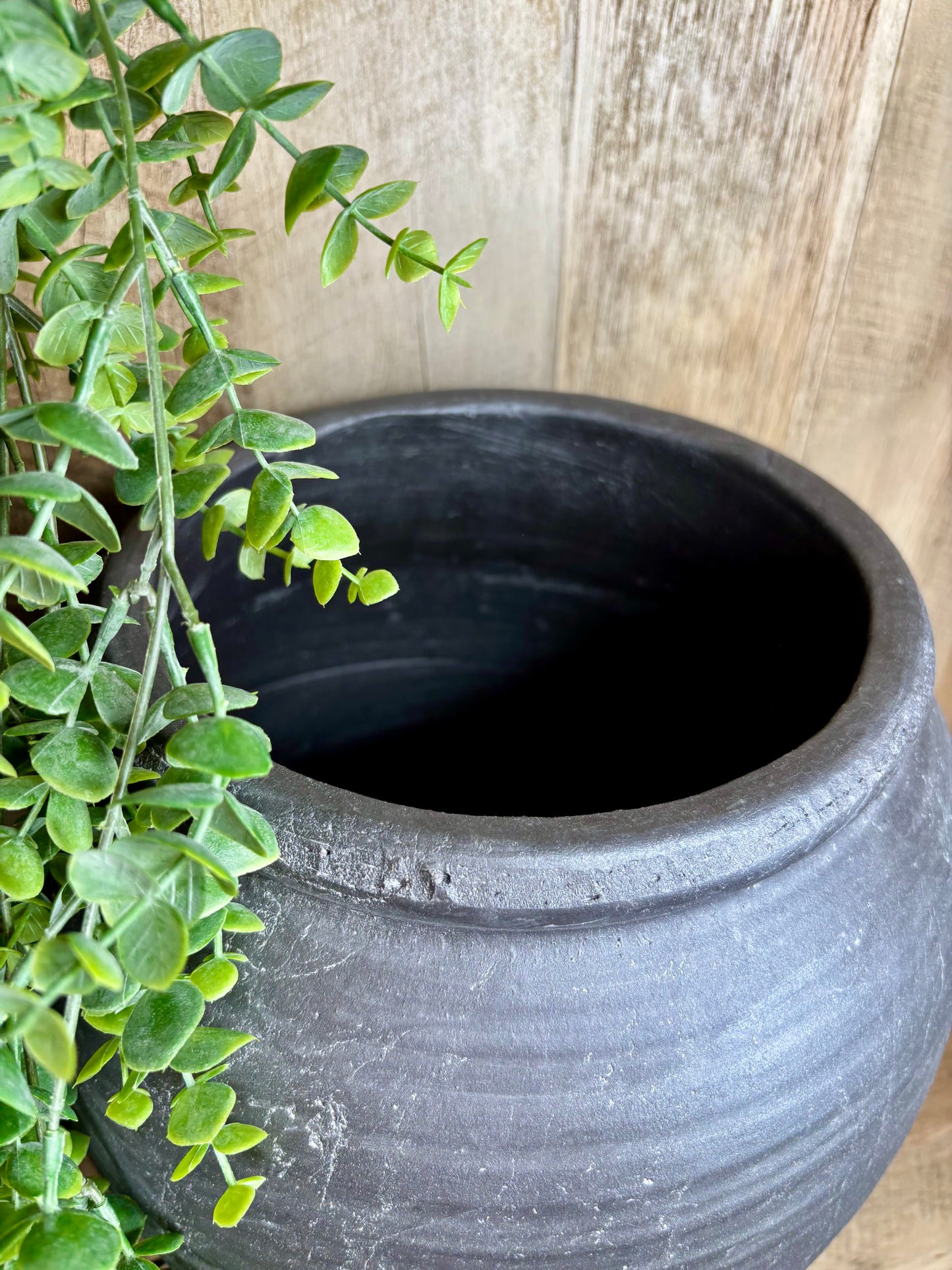 BLK LINE PLANTER