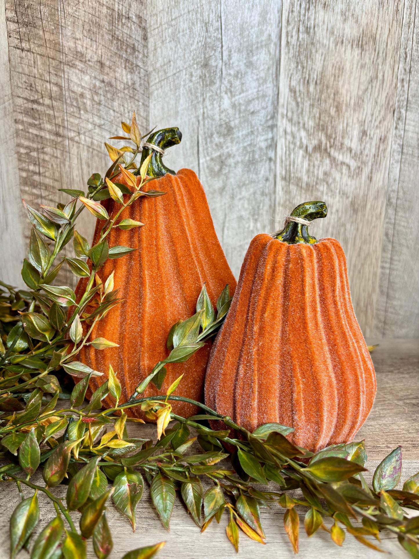 6"H VELVET GOURDS