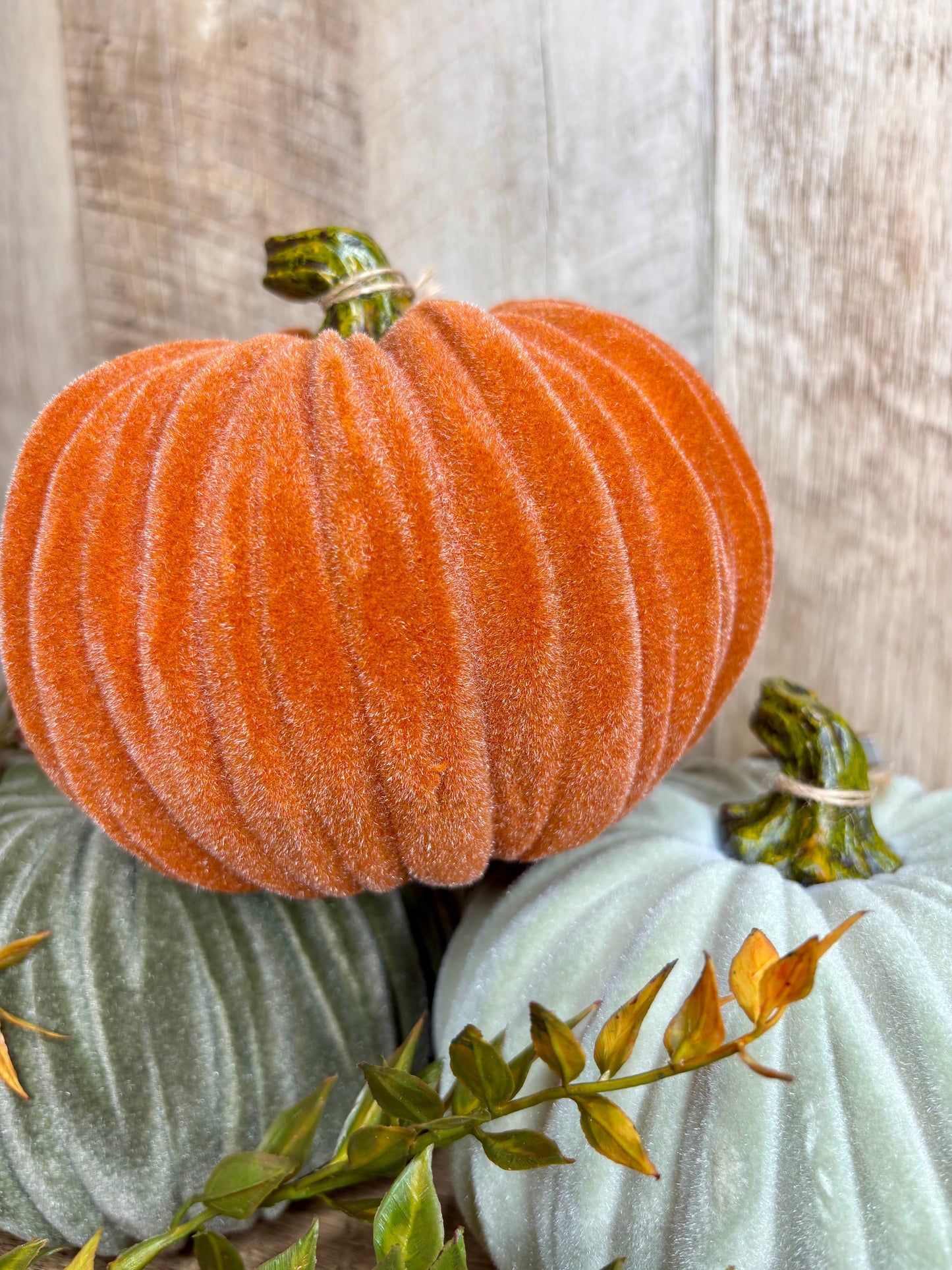 6"W VELVET PUMPKINS