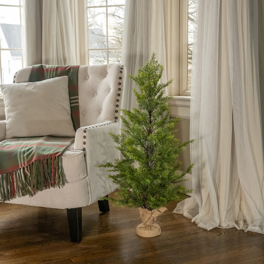 Cedar Tree