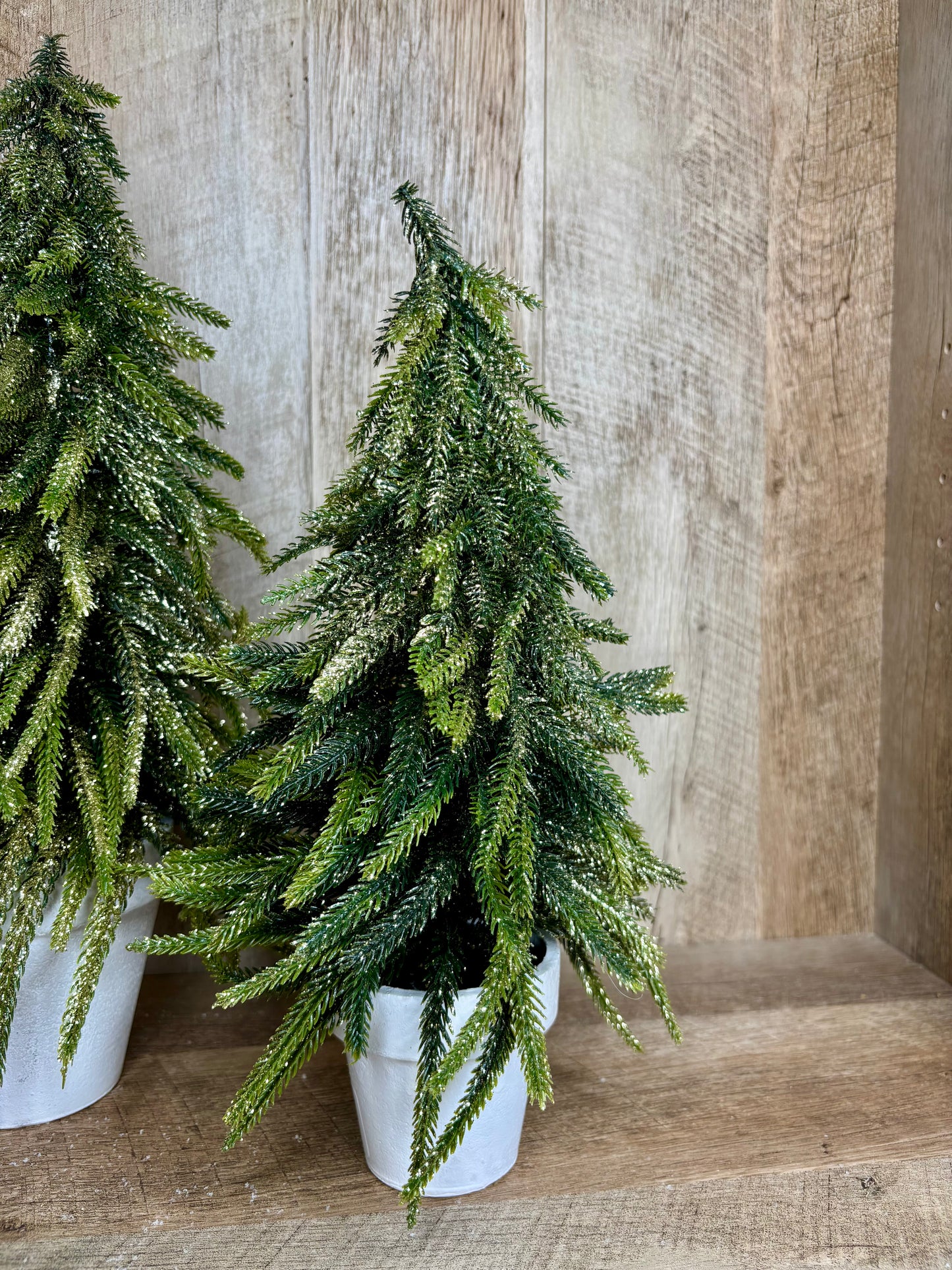 13" GOLD DUSTED TREE IN POT