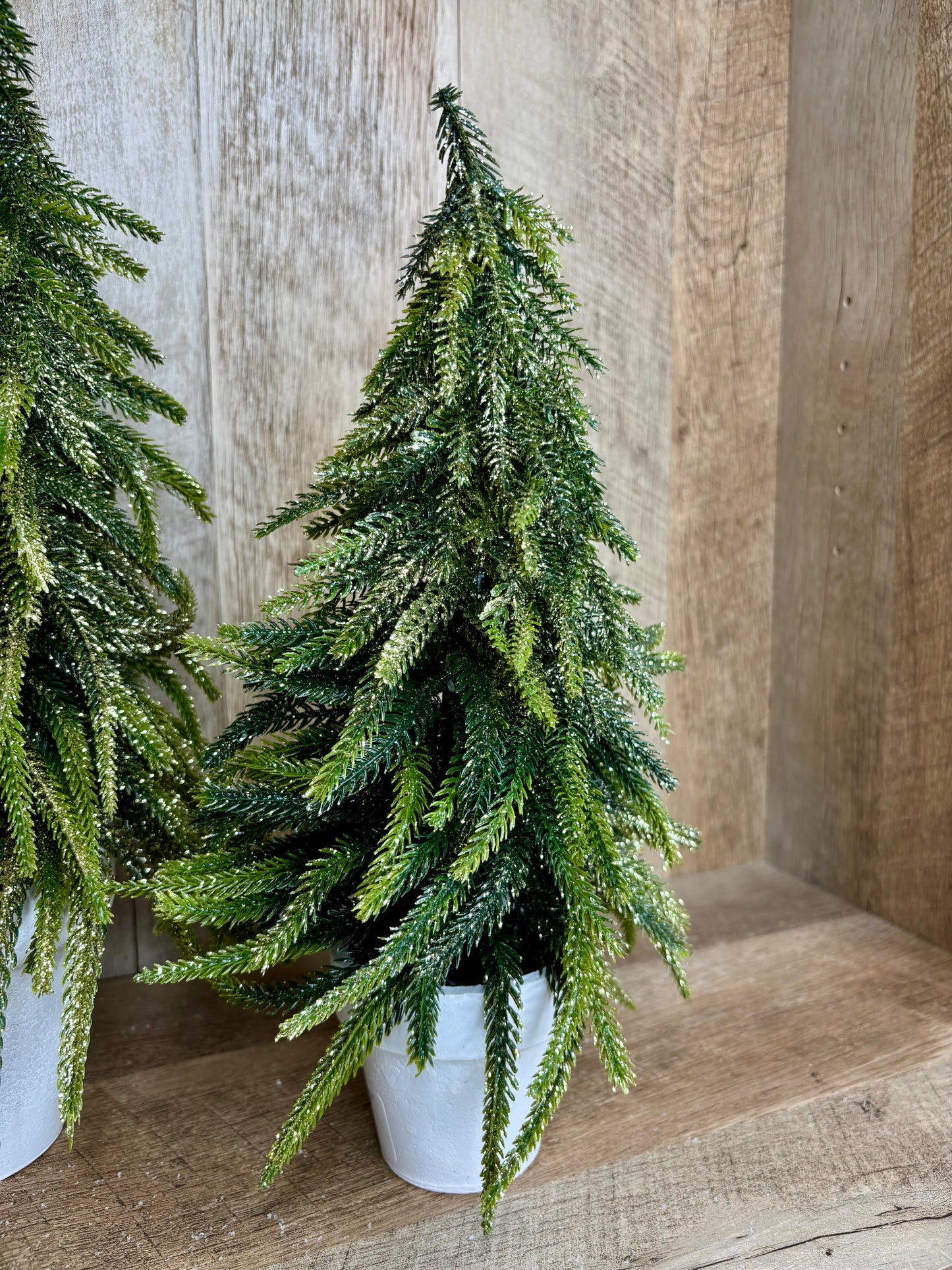 13" GOLD DUSTED TREE IN POT