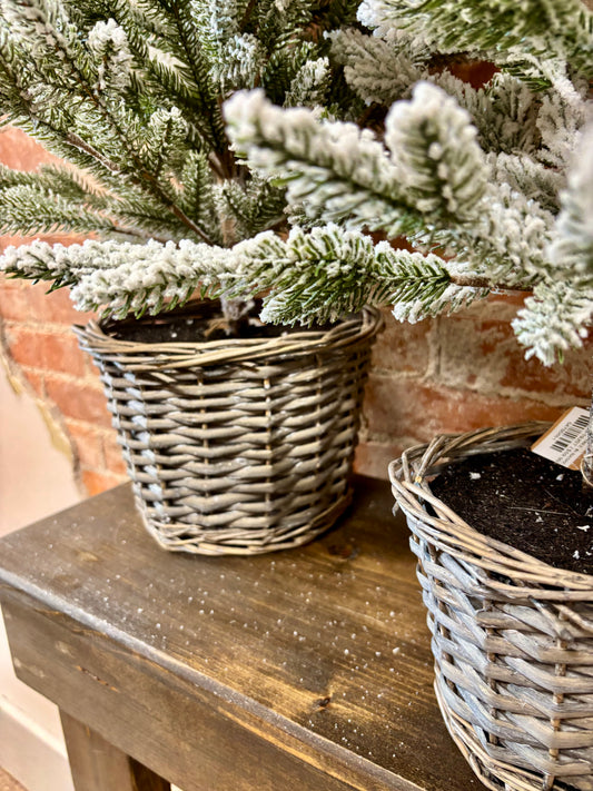 31.5"H SNOWY TREE IN BASKET