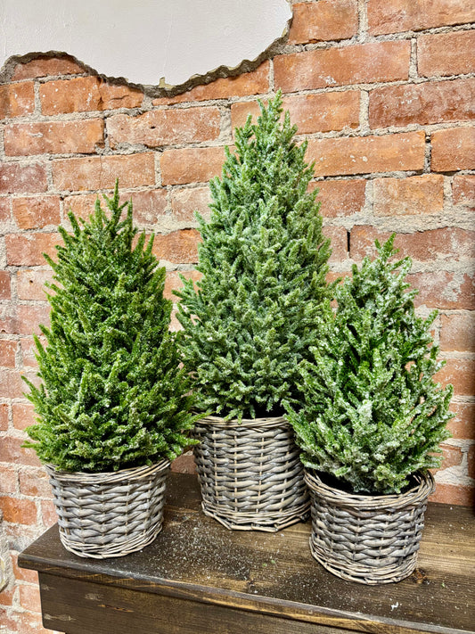 24" GLITTER TOPIARY IN BASKET