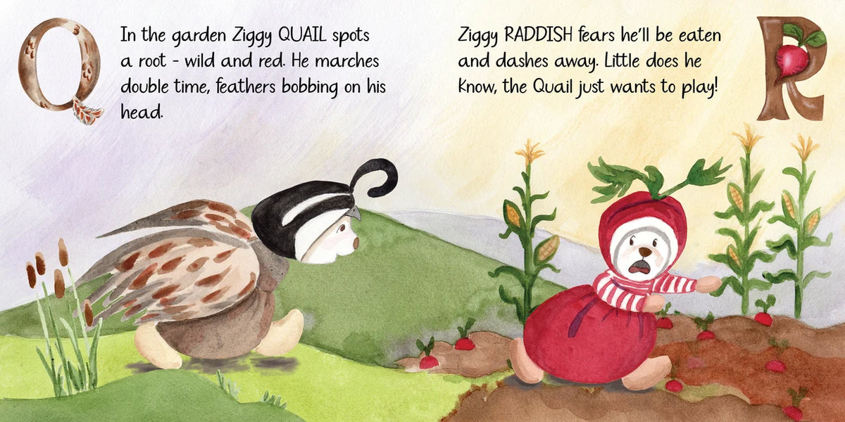 Z Is For Ziggy