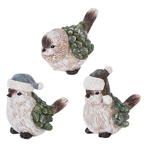 Winter Birds