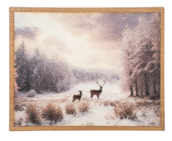 Winter Scenes Wall Decor