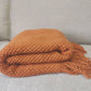 Knit Textured 50"x60" Throw Blanket with Fringe