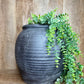 BLK LINE PLANTER
