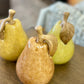 Color Ceramic Pears