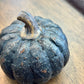 Black Short Pumpkin