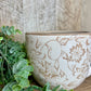 BEIGE HEIRLOOM TEA CUP PLANTER
