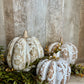 5"H BEIGE HEIRLOOM PUMPKIN