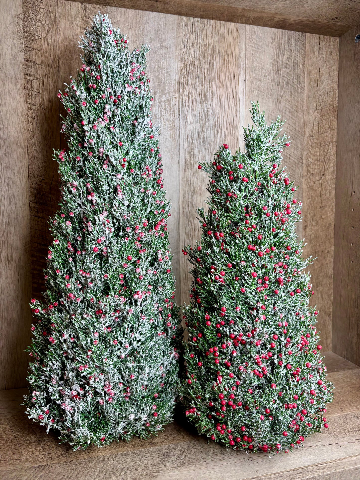 Frosted Berry Tree S/2