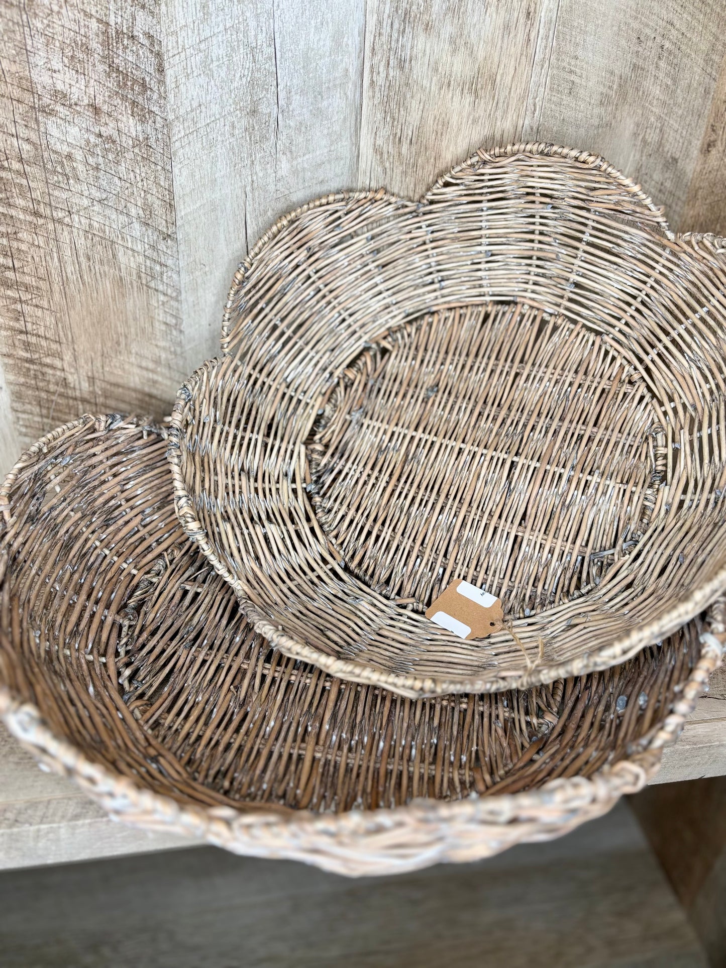 Scallop Tray